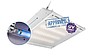 Светильник АНТИВИРУС – проверено LUMEN