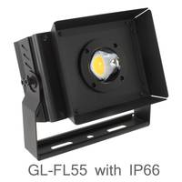 GlacialLight     GL-FL55    COB