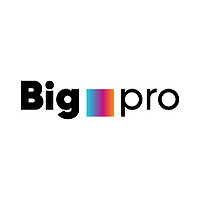 Логотип Bigpro