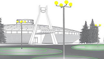      LIGHT-IN-NIGHT ROAD