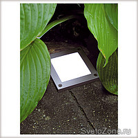 Profi LED IP65.    .