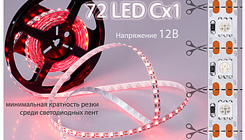   Arlight     14 