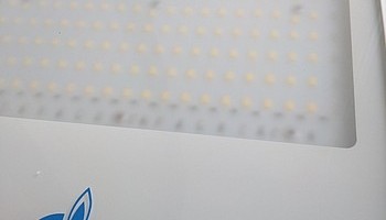"Аксиома Электрика" анонсирует выпуск светильника PETROLED для навеса ТРК АЗС