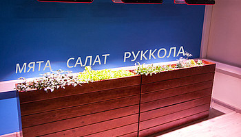 Светильники серии «ФИТО» прошли тестирование.
