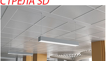       SD