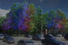 Специалисты СТК «РеКол» гототовятся оформить сквер города Воскресенска.