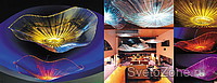    Jelly Light  ASK group!