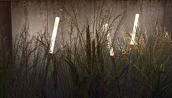 Новинка декоративного ландшафтного освещения от бренда RADUGA