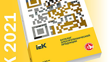    IEK    2021 