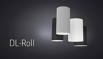  DL-Roll