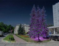 СТК «РеКол» установил светодиодную подсветку елей в Воскресенске.