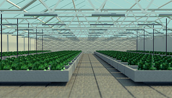 Новинка от завода Lampyris: светодиодный светильник LMPRS.Grow