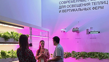 Вектор развития светотехнических решений для тепличного освещения на выставке «Защищённый грунт России» признан верным