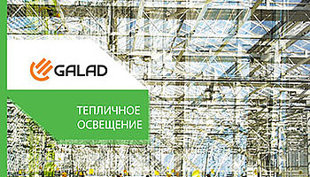  GALAD  