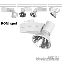    RONI spot