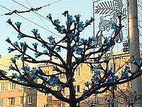 Красноярцы просят освободить центр города от светодиодных деревьев