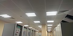   :  Xlight    