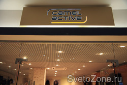  Camel Active