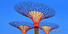  Gardens by the Bay -  