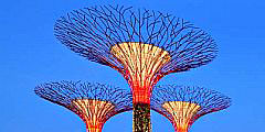  Gardens by the Bay -  