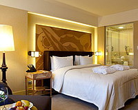  CROWNE PLAZA Ligovsky