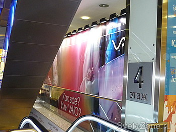      Sony  -  