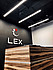    LEX -  4