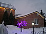    -  10