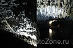 ,  ,  2011 . -  2