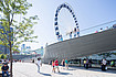   : Chicago Navy Pier -  5
