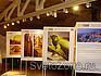  Travel 2011:     -  2