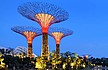  Gardens by the Bay -   -  2