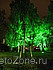   Park inn -  2
