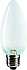 Standard Candle B35 frosted