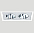  Eco Light 58000.26