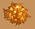  Eco Light 7.0006.33