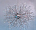  Eco Light 1.0001.21