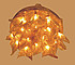  Eco Light 7.0016.33