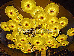 Sunsa 21