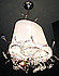  Eco Light 1.0006.90