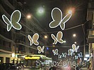 Light Butterflies  Chiara Lampugnani