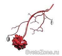 Новинки от Brand van Edmond