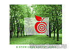-CONCEPT   ,  ,  