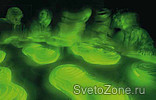 Zumtobel   2010  12-     