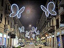  Light Butterflies  Chiara Lampugnani