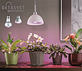   Paulmann  NEW PRODUCTS OF FEBRUARY 2014