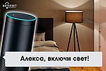      Alexa -   2018 !