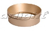    Arlight POLO