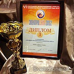 Сайт светотехнической компании «Дата Свет» признан одним из лучших по удобству использования в рунете в 2012 году