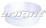    Arlight POLO